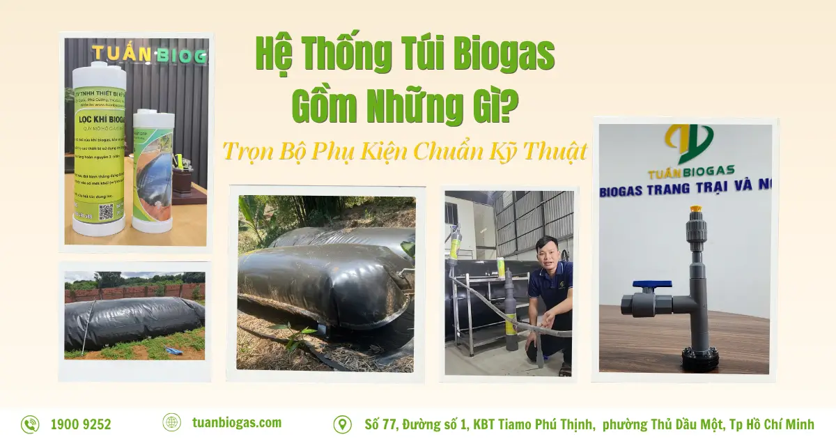 Hệ Thống Túi Biogas Gồm Có Những Gì? Khám Phá Trọn Bộ 4 Thành Phần Chuẩn Kỹ Thuật Tuấn Biogas